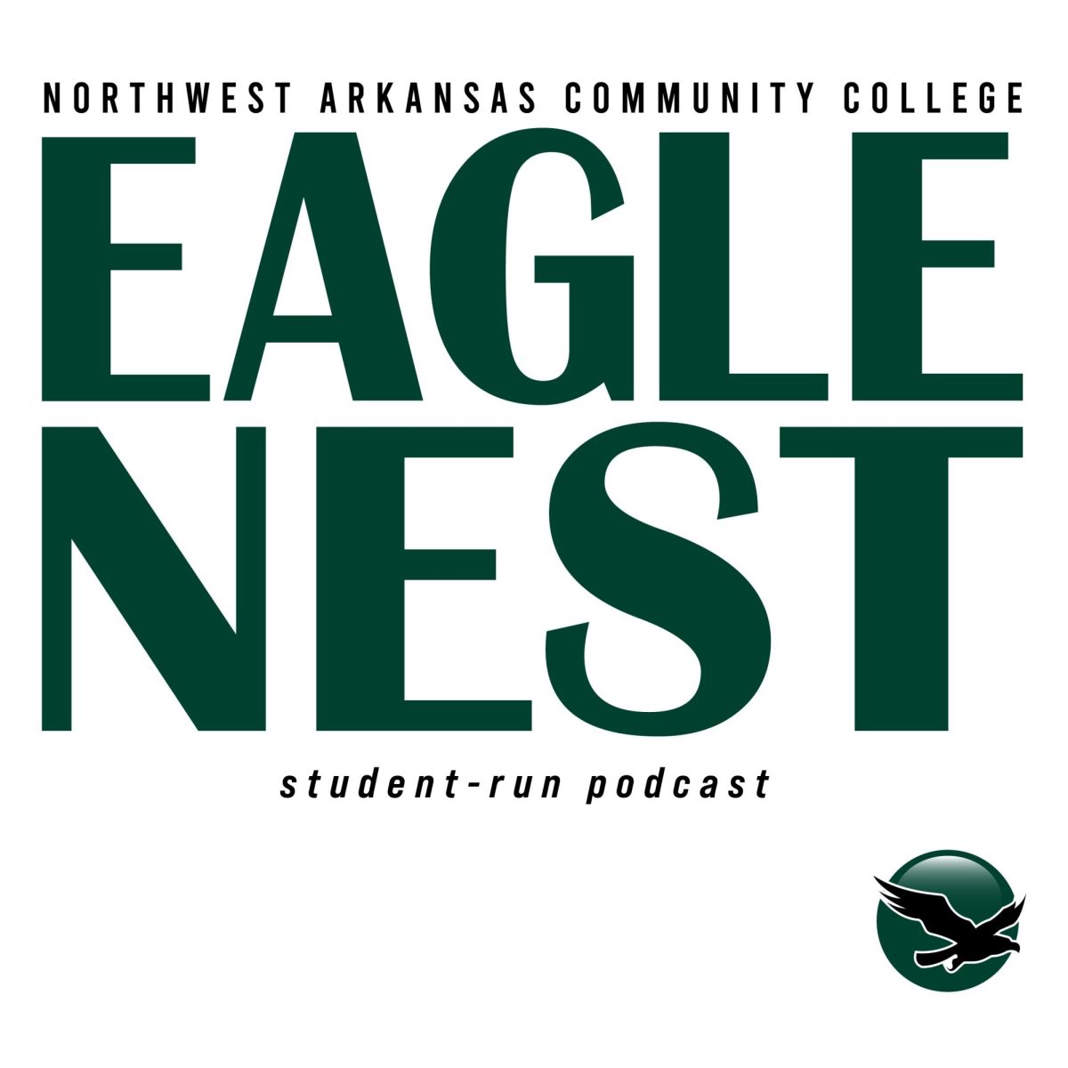 Logo for Eagle Nest podcast